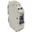 GB2CD06 - Circuit breaker, TeSys GB2, 1P+N, 1A, Icu 50kA at 240V, Thermal magnetic, DIN rail mounted - Schneider Electric - 0
